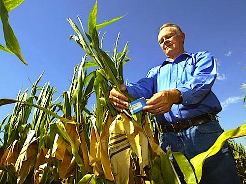 Harry Stine: diventare miliardari con l'agricoltura