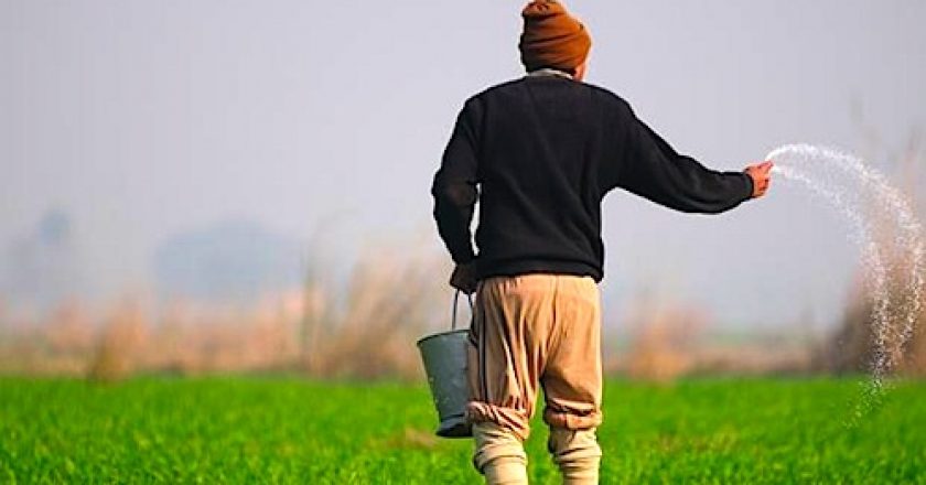 Perché il mercato dei fertilizzanti è un buon investimento