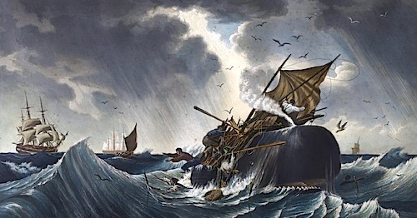 La caccia alle balene del 19° secolo come modello per l'esaurimento del petrolio e la volatilità del prezzo
