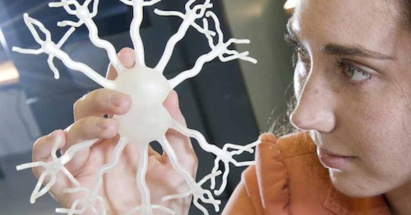 Stampa 3D per rigenerare il tessuto nervoso