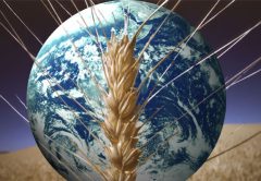 Fertilizzanti, potassa e fosfati: la ricetta per sfamare il mondo