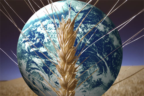 Fertilizzanti, potassa e fosfati: la ricetta per sfamare il mondo