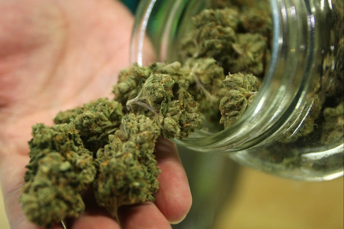 In quali aziende investire nel settore della Cannabis?