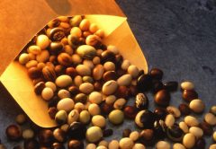 Il risveglio dei prezzi della soia e dei cereali