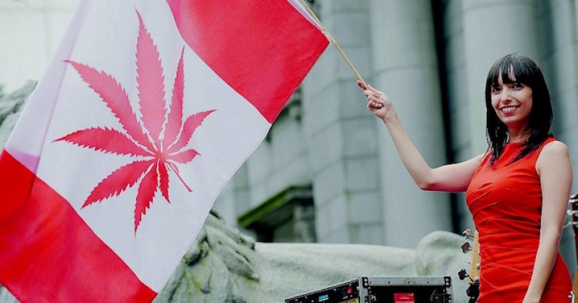 La legalizzazione della cannabis in Canada fa volare il mercato