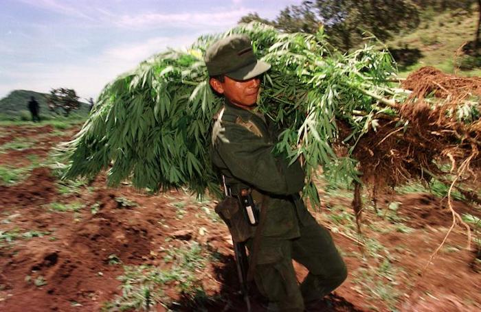 Anche il Messico legalizza la marijuana per uso medico