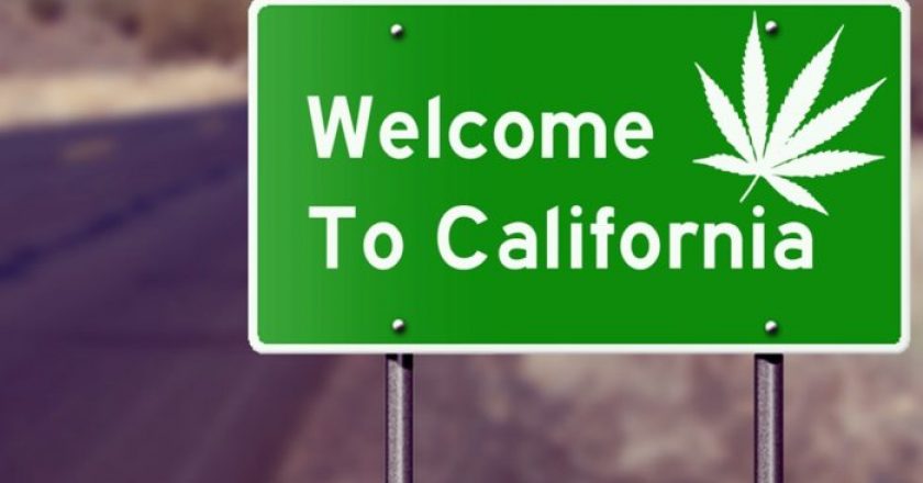 Il più grande mercato di cannabis del mondo: la California