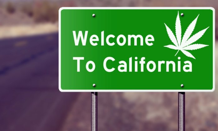 Il più grande mercato di cannabis del mondo: la California