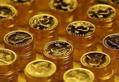 Monete d'oro: guidaper l'investitore
