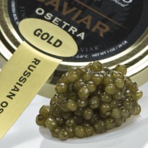 Imperial Gold Osestra