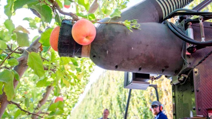 Il robot che raccoglie le mele... delicato e attento come un umano