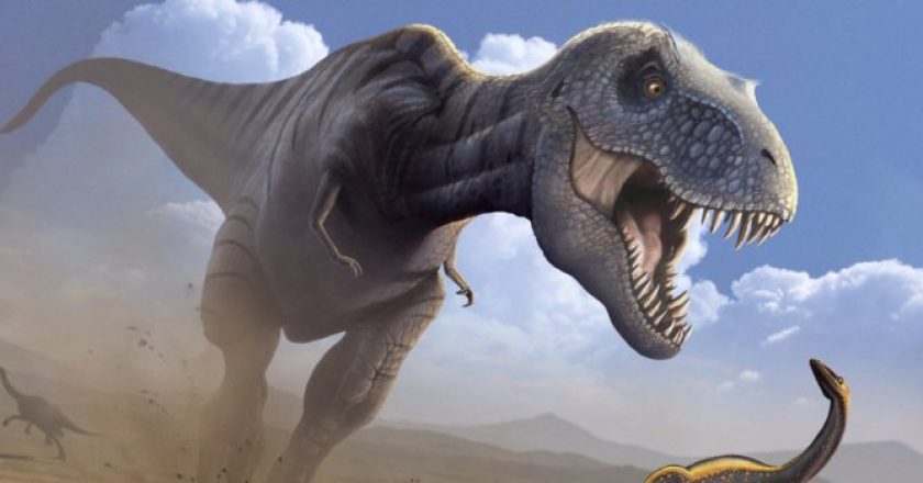 Il più grande tirannosauro (Tyrannosaurus Rex) del mondo