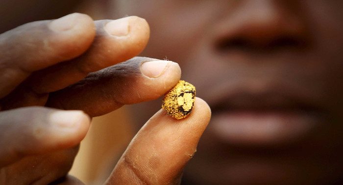 Oro di contrabbando dall'Africa. Finisce tutto a Dubai