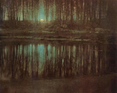 the pond moonlight