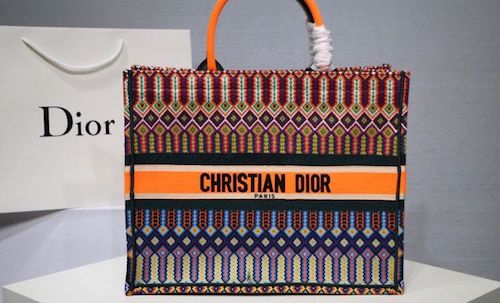 Dior book tote bag