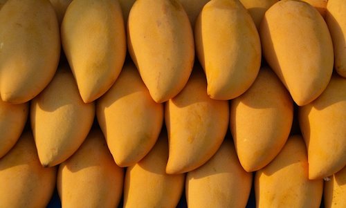 mango valencia pride