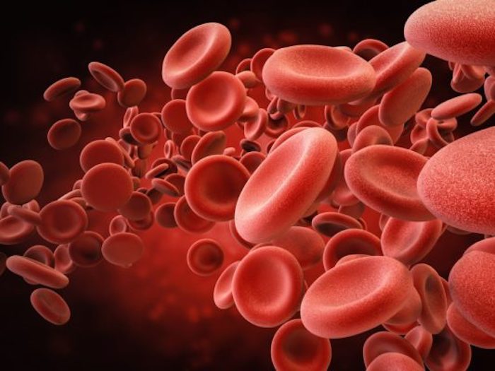 La nostra longevità è legata ai livelli di ferro nel sangue