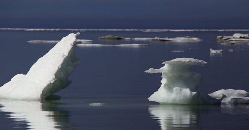 Pessimi presagi dall'Artico. Il caldo sta stravolgendo l'ecosistema