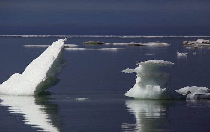 Pessimi presagi dall'Artico. Il caldo sta stravolgendo l'ecosistema