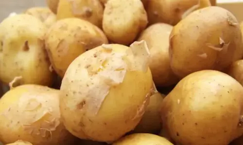 Patatas La Bonnotte