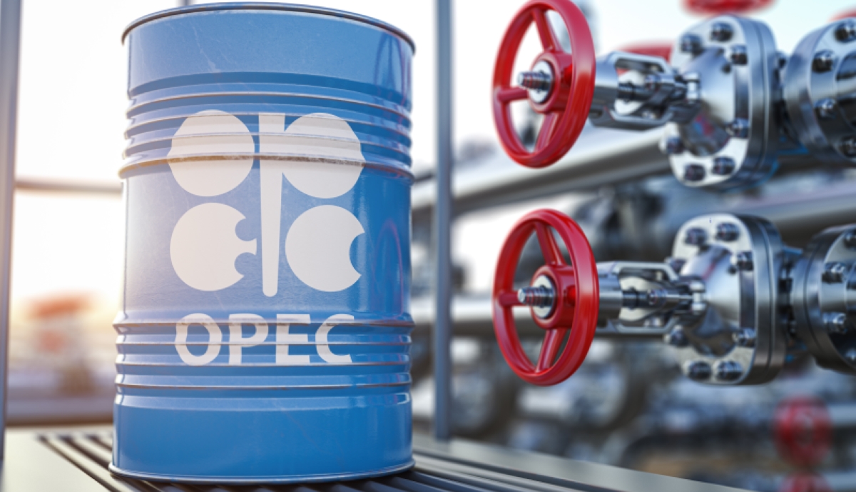 L'OPEC avverte la UE: un divieto sul petrolio russo sarebbe disastroso