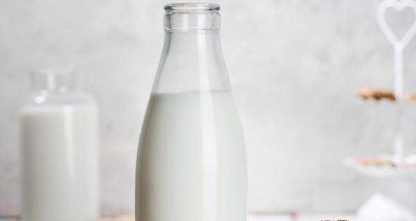 Il latte animale più caro del mondo? Classifica dei 10 più costosi
