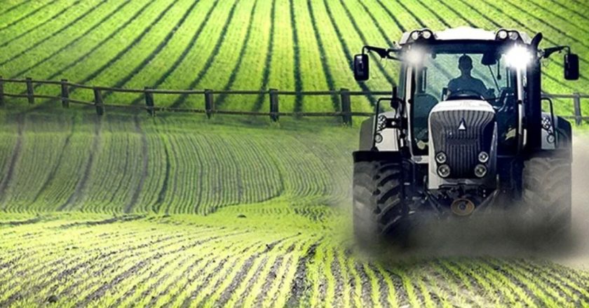Il mercato dell'agricoltura nel 2023: previsioni su potassa e fosfato