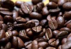 Troppa domanda di caffè economico manda in tilt l'offerta di robusta
