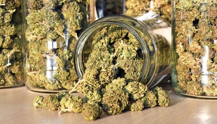 marijuana in Paraguay
