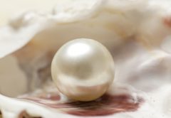 Una perla meravigliosa