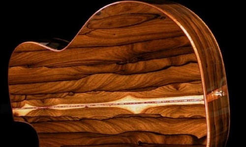 Chitarra in legno Ziricote