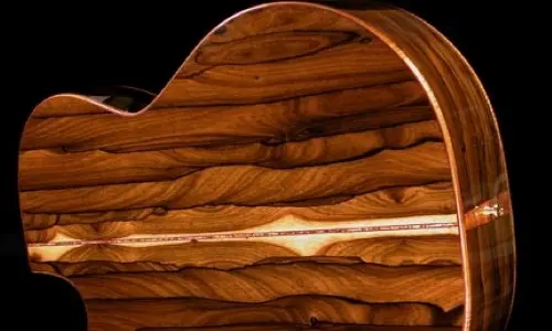 Guitarra de madera de Ziricote