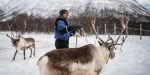 Renne e comunità Sami
