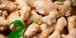 Zenzero (ginger)