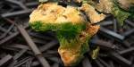 Mercato rottame ferroso in Africa